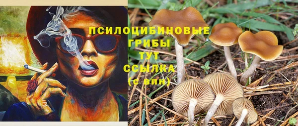 ешки Верея
