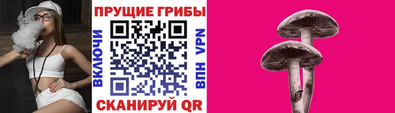 Галлюциногенные грибы мицелий  KRAKEN зеркало  Сочи 